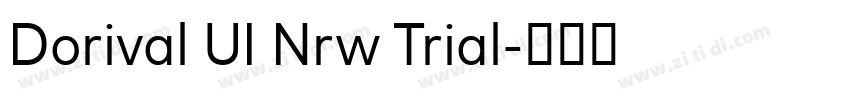 Dorival UI Nrw Trial字体转换 Dorival UI Nrw Trial字体转换